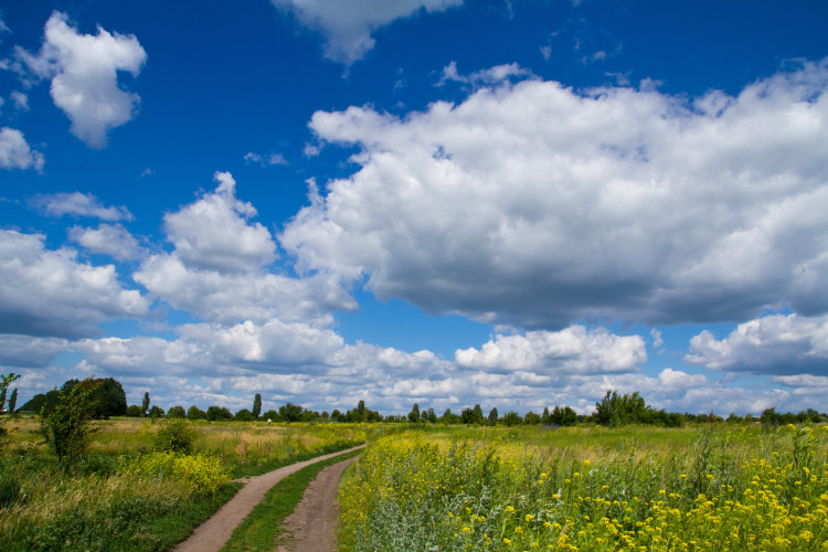 Depositphotos_47989195_original.jpg