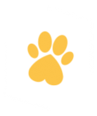 DOG FRIENDLY